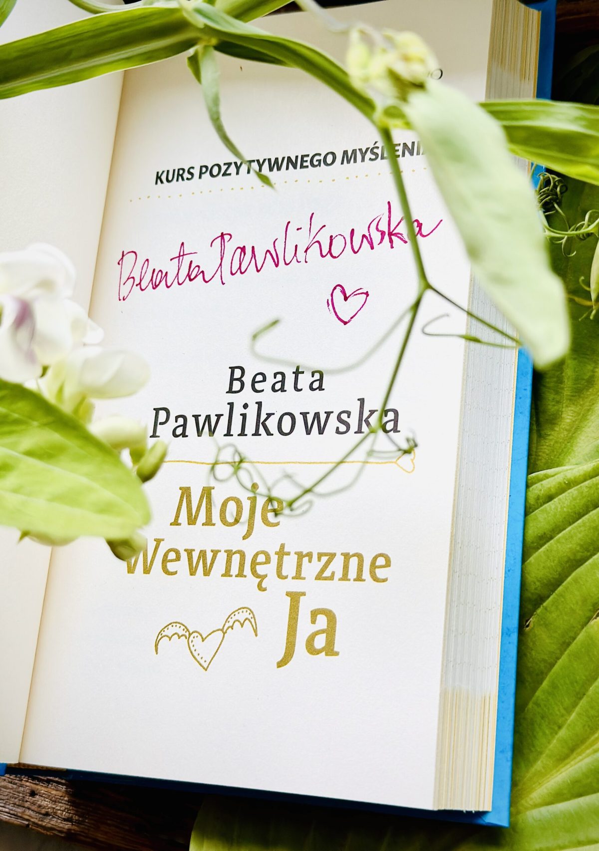 Kurs pozytywnego Myślenia "Moje Wewnętrze Ja" z autografem Beaty Pawlikowskiej - obrazek 10