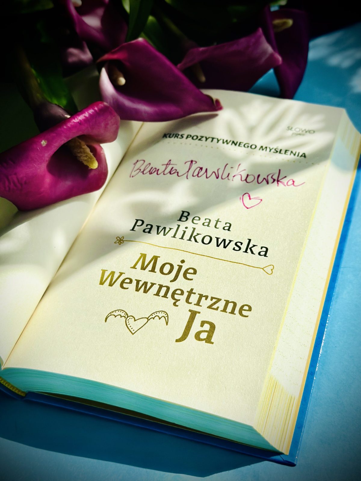 Kurs pozytywnego Myślenia "Moje Wewnętrze Ja" z autografem Beaty Pawlikowskiej - obrazek 12