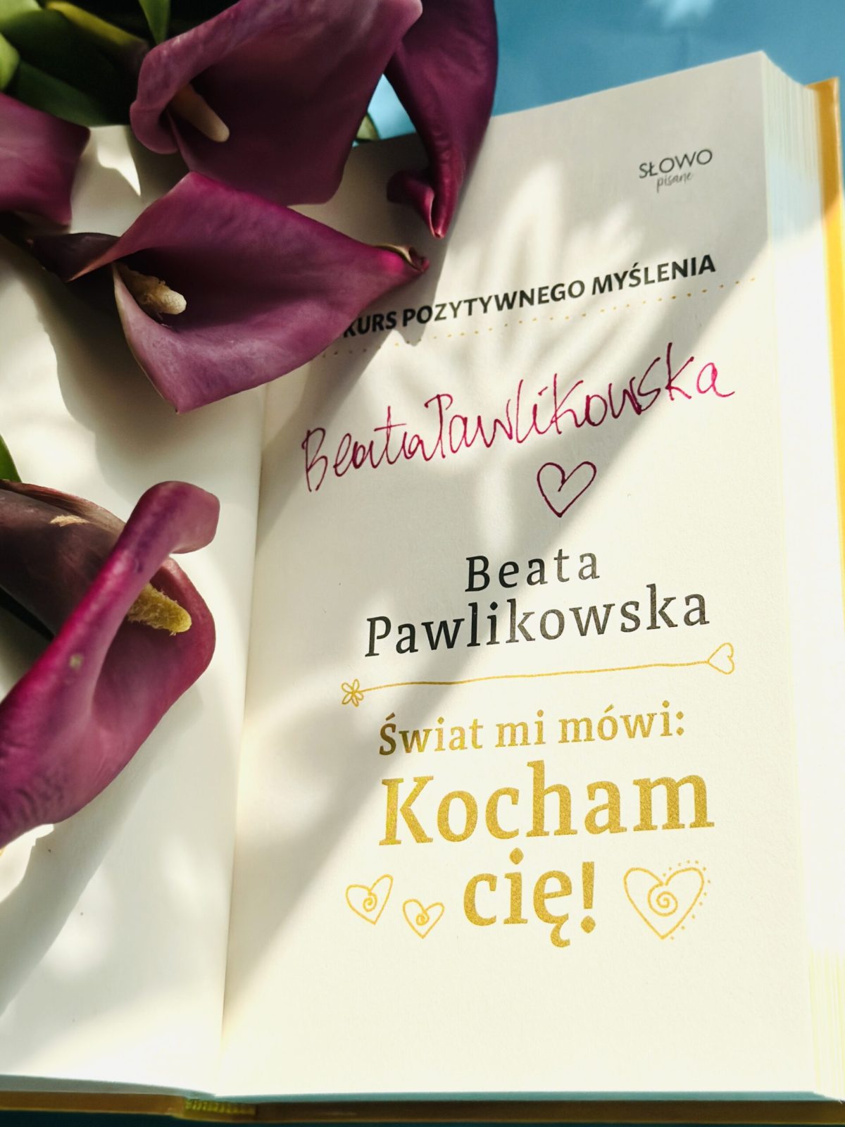 Kurs pozytywnego Myślenia "Świat mi mówi: KOCHAM CIĘ" z autografem Beaty Pawlikowskiej - obrazek 9