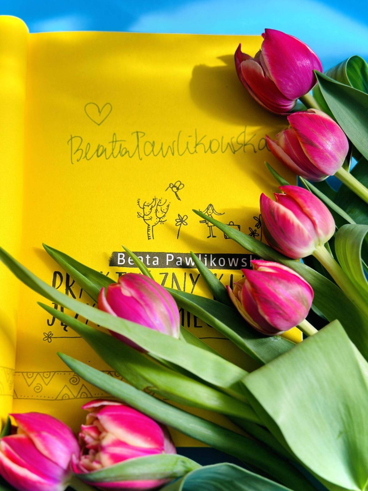 Praktyczny kurs języka niemieckiego Beaty Pawlikowskiej - obrazek 5