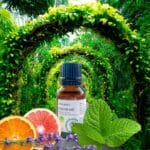 Mieszanka na koncentrację Focus Me, 100% naturalne olejki eteryczne